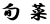 { 